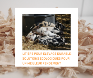 Lire la suite à propos de l’article Litière durable : solution écologique pour un meilleur rendement