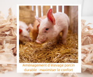 Lire la suite à propos de l’article Aménagement d’élevage porcin durable : Maximiser le confort animal avec la bonne litière